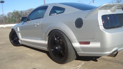 MUSTANG ROY 051.jpg