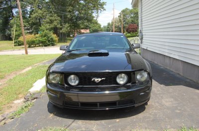 MUSTANG 002.jpg