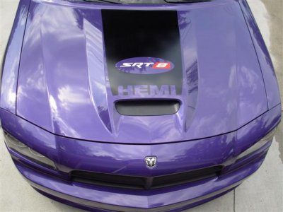 purple SRT8.hood decal 001 (Small).jpg