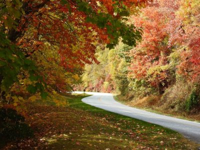 Blue Ridge Parkway, Asheville, North Carolina..jpg