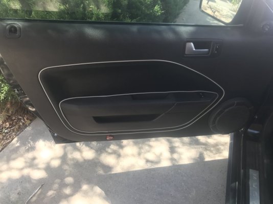 Driver Side Door Panel.JPG