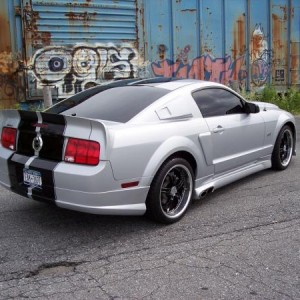 My Stang