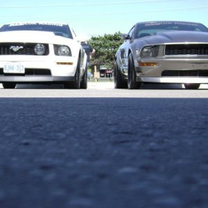 Tony G's White Stang next to mine