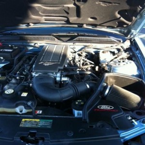 Mustang Engine